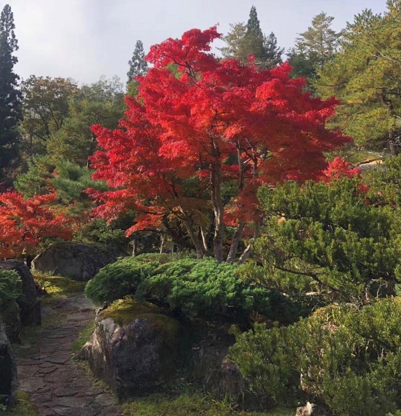 Shohakuen Villa Takayama  Esterno foto